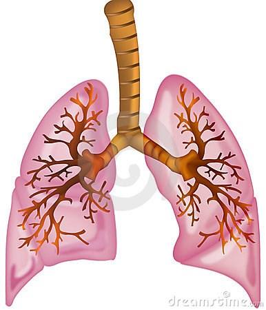 6 Smoking also damages your lungs, leading to conditions such as: chronic obstructive pulmonary disease (COPD), which incorporates bronchitis and emphysema pneumonia Smoking can also worsen or