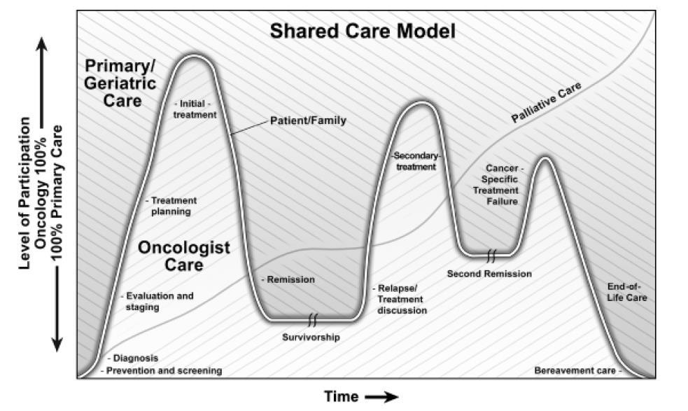 Models of shared cancer care Cohen HJ.