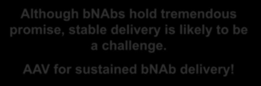 Although bnabs hold tremendous promise, stable delivery is