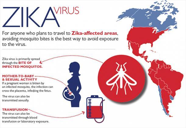 Zika A Flavivirus Primary vector Aedes aegypti mosquito 80% is asymptomatic and