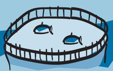Surveillance: farmed fish and wild catches Regulated by EU (Directive 96/23)