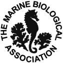 Underwater noise and marine mammals - Teacher Notes AIM: To introduce the effects on marine species of noise associated with building and operating wind farms, with specific reference to marine
