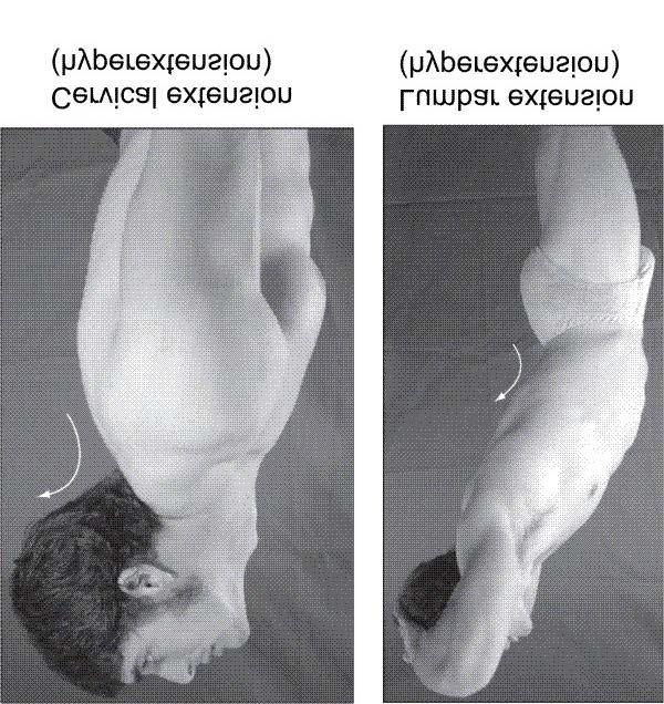 Movements Spinal extension return from flexion or posterior movement of spine; in cervical spine, head moves away from