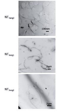 Inflammation Response in Mice µm Ni Nw long Ni Nw short CNT tangle2 CNT L1 Mitsui