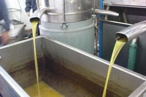 Olive mill wastewater 3 Phase-olive oil