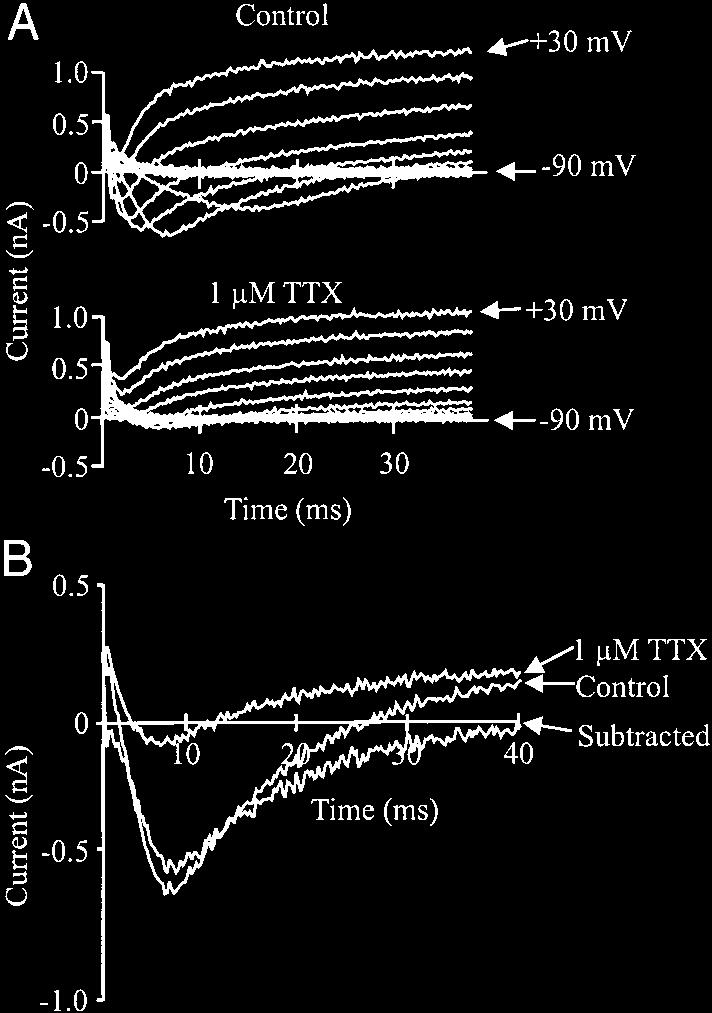 Methods of measuring the threshold depolarization (a), action potential amplitude (b), and action potential duration (c) are shown in the recording from the type A neuron.
