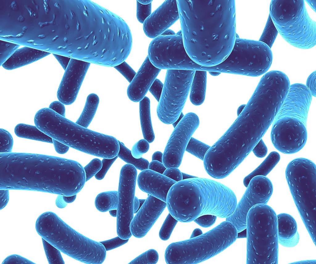 Manipulating the gut microbiome William DePaolo, PhD Associate Professor