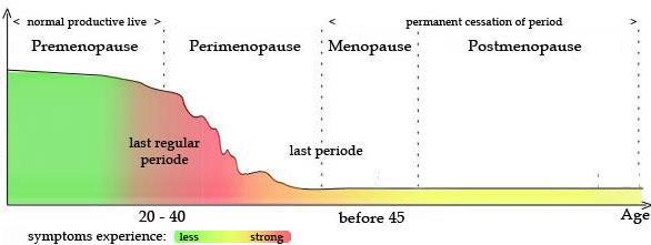Oestrogen levels Causes of