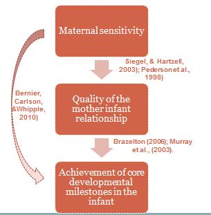 Impact of maternal sensitivity 7 The importance of attachment Why is attachment important between mother and infant? Early mother infant bond may have sig.