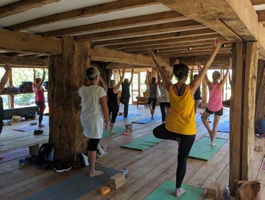 Nature-Fit class for all abilities A restorative yoga session for beginners A delicious superfood lunch A stunning woodland walk with breathtaking views over West Kent And