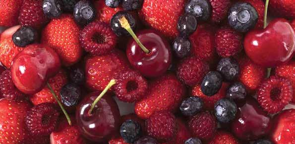 rhamnosus LR 04, Fructooligosaccharides, Neutral Berry Flavor.