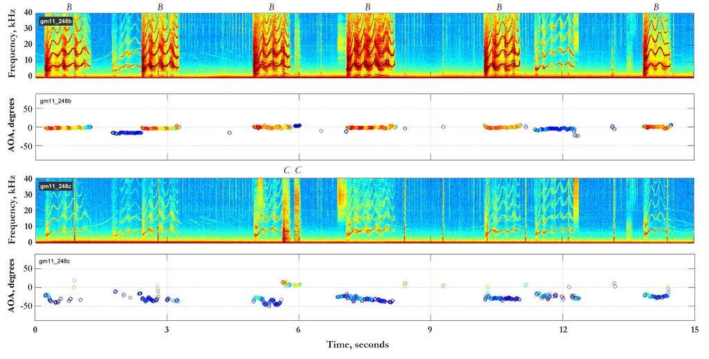 Fig. 1: Sounds recorded by DTAGs placed on two closely associated whales, gm11_248b and gm11_248c.