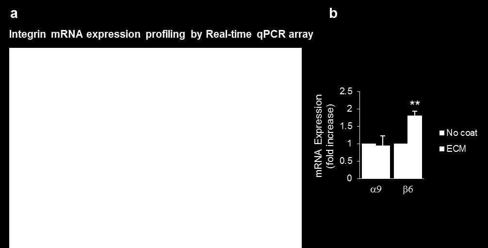 The grey line indicates no change in gene expression threshold.