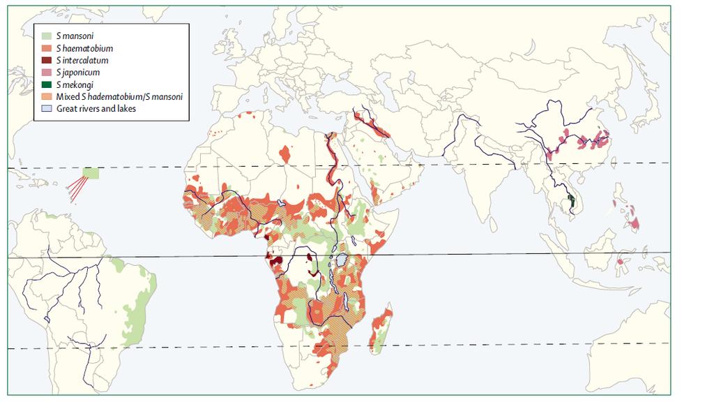 GENERAL INTRODUCTION Figure 1.1. Global distribution of schistosomiasis. Reprinted from The Lancet, Vol. 368, Gryseels et al.