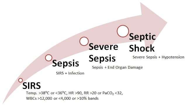 Defining sepsis in children (clinical phenotypes) Systemic inflammatory response syndrome (SIRS) The presence of at least two of the following four criteria, one of which must be abnormal temperature