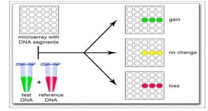 Chromosome Microarray Analysis (CMA)