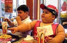 obesity rates as their adopted country within only 15 years The