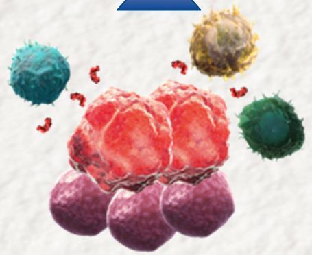 dormancy Genetic instability Tumor heterogeneity