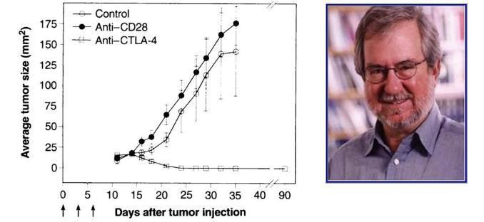 1996: INHIBITION OF CTLA4 AS ANTI-CANCER THERAPY 1987 1991 1992 1993 1994 1995 1996 1997 1998 1999