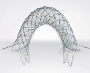 morphology) New generation of stents offering