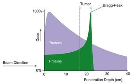 normal tissue toxicities. When compared to photons, protons scatter less in the patient due to their smaller scattering angles, as consequence of their heavier masses.