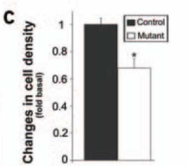 When compared with controls, mice had fewer