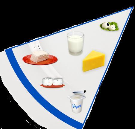 4 Milk and Milk Products Cheese Milk Yoghurt