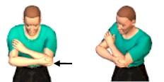 elbow bent. Grab your forearm with the opposite hand. Slowly push your forearm down until you feel a gentle should stretch.