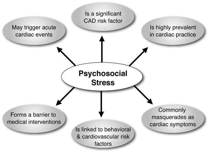 Psychological Factors and Heart Disease most controversial, although several large-scale studies have suggested a link between anxiety and overall mortality, especially in sudden cardiac death