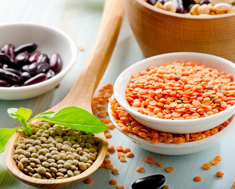 lentils nuts cheese What is the function of proteins in your body?