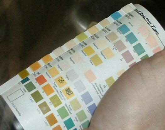 Mix urine well and compare to color chart after the exact time required for each test.