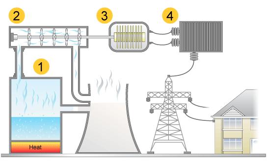 d) Which part of the ear collects sound? 7) Identify the picture and label the parts where ever necessary. (i) How electricity generate by power station?