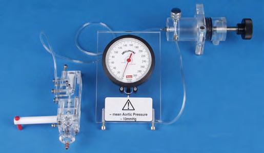 two needle valve for adjusting gas flow, holder for APT300 transducer for perfusion pressure and tubing.