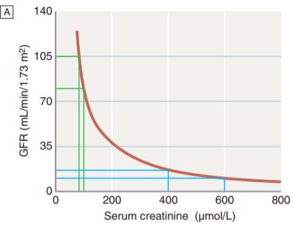 B) Creatinine clearance (CrCl): CrCl (ml/min) = urine creatinine concentration (mol/l)* volume (ml) / plasma creatinine concentration (mol/l) *time (min) *note : Needs 24-hr urine collection