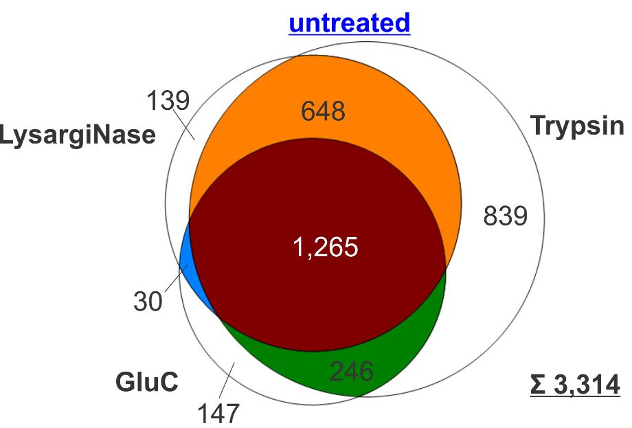 Figure S7. Comparison of identified protein groups for untreated HeLa lysate digested with LysargiNase, GluC or trypsin.