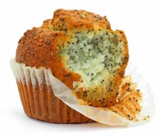 Muffin 670 Calories 1