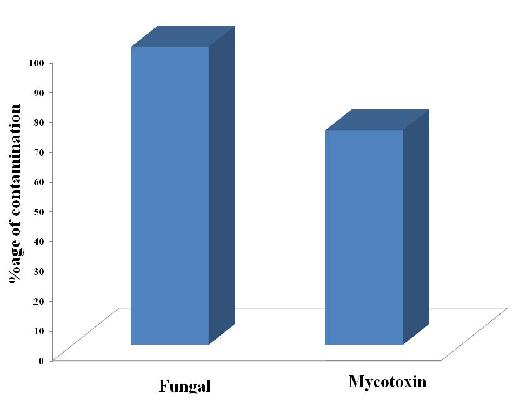 Gautam, Gupta and Soni 129 Analysis of mycotoxins and mycotoxigenic fungi The collected samples were evaluated for the presence of aflatoxins.