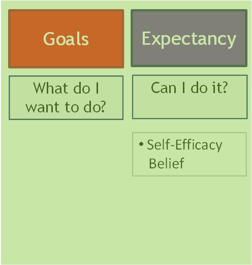 What Are the Key Motivation Questions? Goals Expectancy Value Reasons What do I want to do? Can I do it?