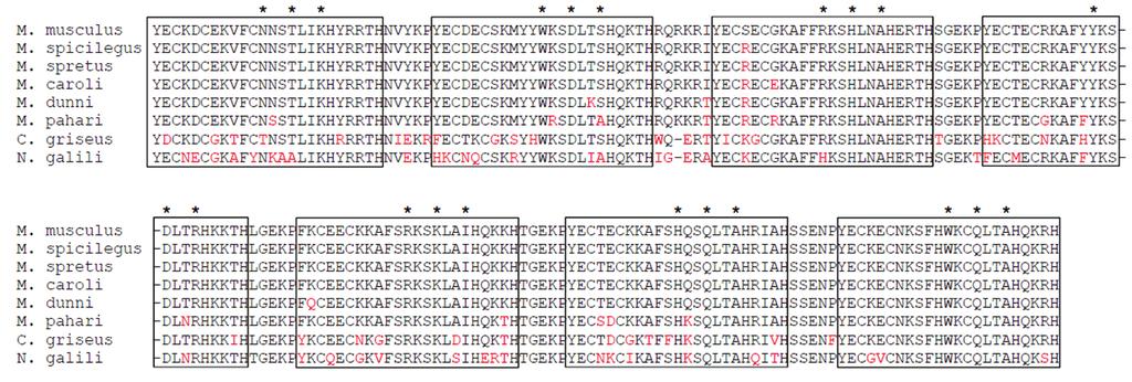 Supplemental Figure 11 Zfp89 homology (%) DN Protein ds/dn ds/dn (specificity aa) M. spicilegus 98.3 99. 34.9 - M. spretus 98.8 99. 23.2 - M. caroli 97.9 99. 19.4 - M. dunni 97.2 97.9 11.6 - M.