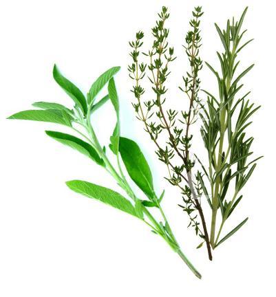 8. Herbs Horsetail Nettle - Helps