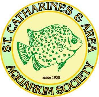Official publication of The St. Catharines & Area Aquarium Society Since 1958 Inside this issue Club Notes, Fish of the Month, & Upcoming Event..2 Joe s Presidential Message.
