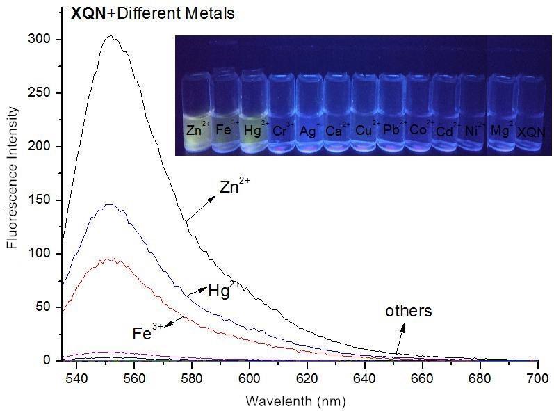 3 10-4 M) in the presence of various metal ions in CH 3CN-PBS (10 mm, v/v=7:3, ph = 7.4). Fig. 2: Fluorescence spectra changes of the sensor XQN (3.