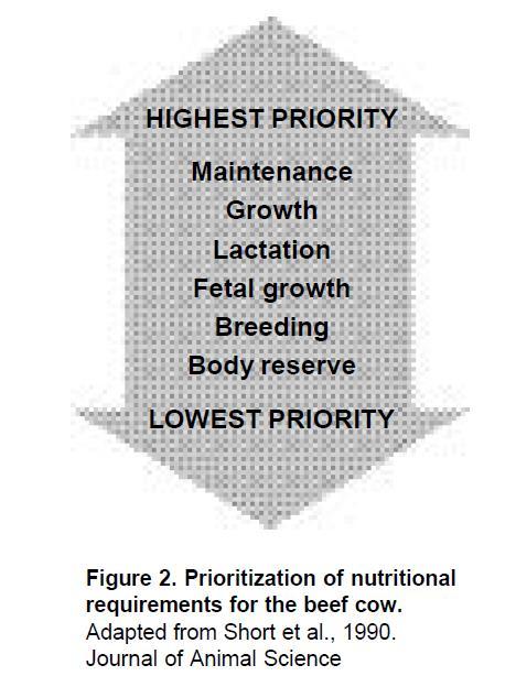 Nutrient Requirements What do cows need to live, grow and reproduce?