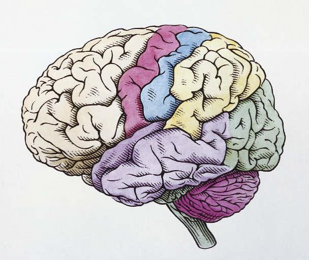 Meta-analysis: Neural