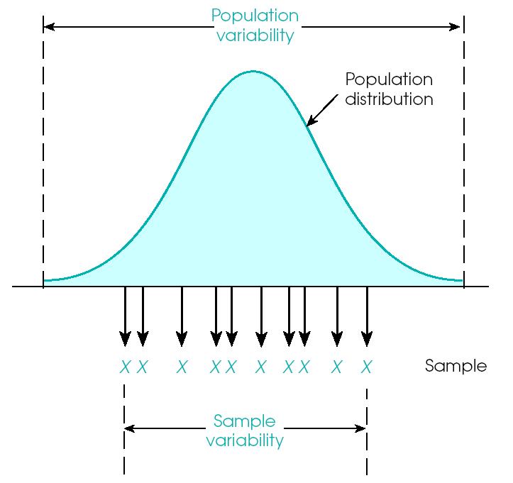 The graphic representation of a population with a mean of µ = 40 and a standard deviation of σ = 4. The population of adult heights forms a normal distribution.