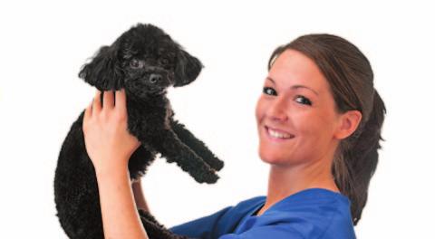 Today s TeChniCian PEER REVIEWED URINALYSIS IN COMPANION ANIMALS Part 1: Collection, Sample Handling, & Initial Evaluation Theresa E Rizzi, DVM,