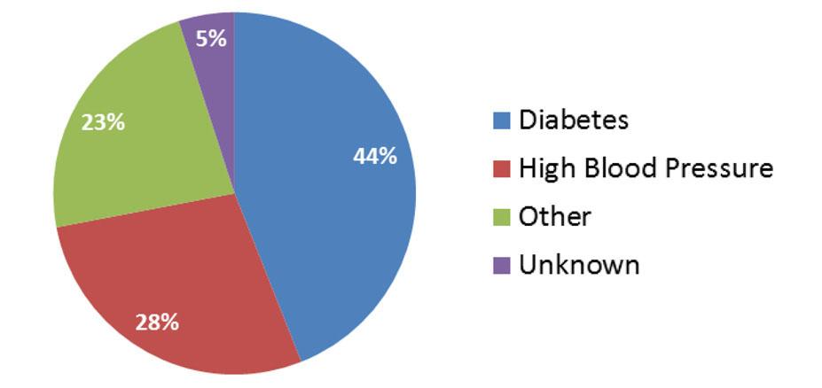 Kid Int Supplements (2013) 3, 63 72 Conceptual Model of Chronic Kidney Disease