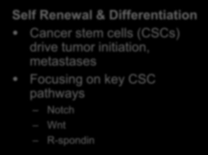 Targeting Fundamental Drivers of Cancers