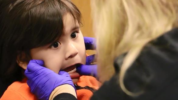 Several local oral health screening programs have yielded data that provide a picture of some of Placer County s needs.