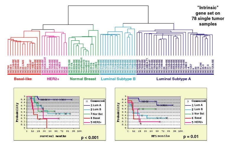 Single gene, little information Comprehensive set shows the picture 476 Molecular portraits of breast cancer Perou & Sorlie et al, Nature 2000 Breast Cancer RNA Gene Expression Profiling Recurrence